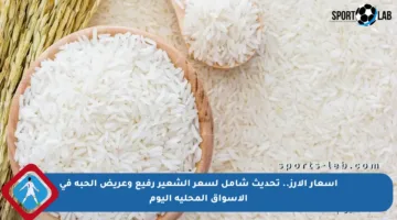 أسعار الأرز.. تحديث شامل لسعر الشعير رفيع وعريض الحبة في الأسواق المحلية اليوم